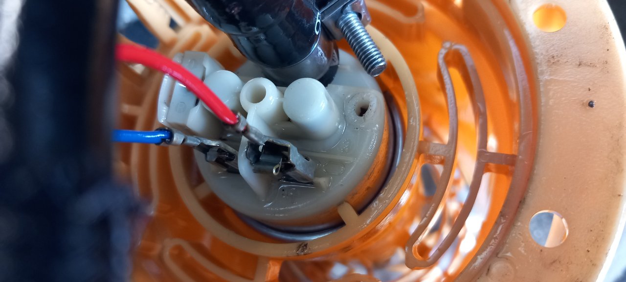 20240608_135504.jpg