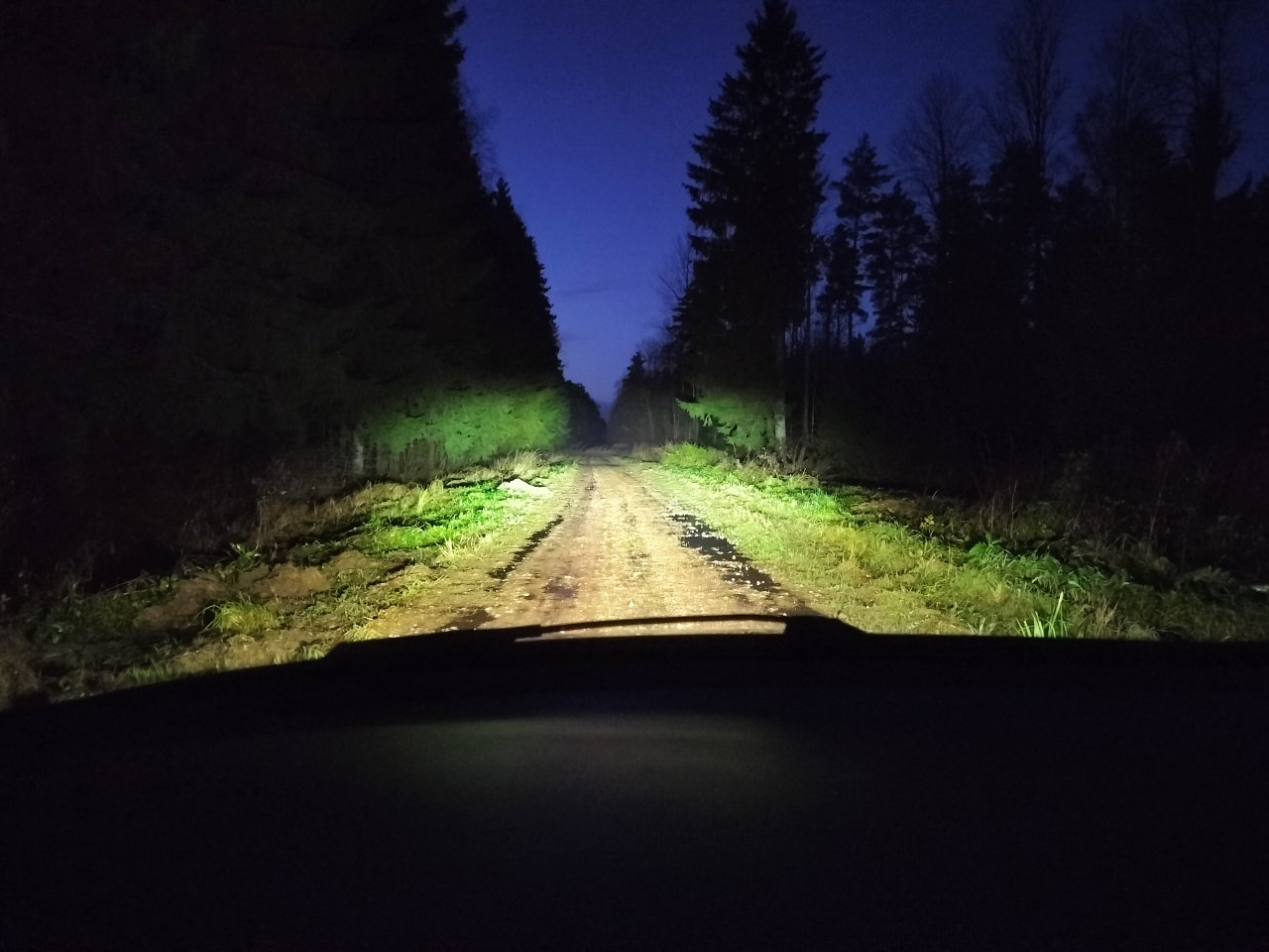 IMG20241117164920.jpg
