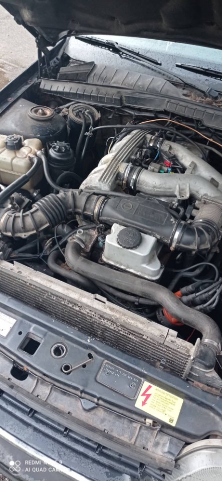 Opel 4.jpg